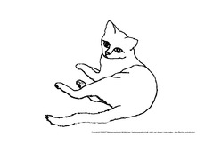 Katze-9.pdf